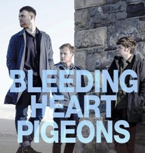 Bleeding Heart Pigeons